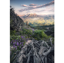 Berglandschaft mit Felsen, blühenden Pflanzen und Blick auf ein Tal