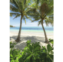 Strandansicht mit Palmen und Vegetation
