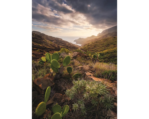Landschaft mit Bergen, Meer und Kakteen
