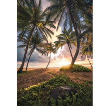 Szene mit Palmen am Strand bei Sonnenuntergang