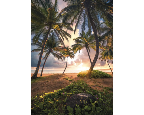 Szene mit Palmen am Strand bei Sonnenuntergang