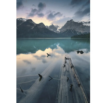 Bergsee mit Baumstämmen im Wasser und Bergkulisse
