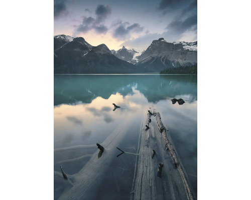 Bergsee mit Baumstämmen im Wasser und Bergkulisse