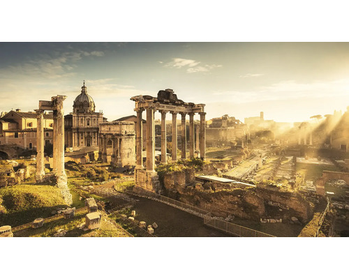 Ansicht des Forum Romanum mit Ruinen und Säulen