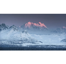 Landschaft mit schneebedeckten Bergen und Tannenwald im Vordergrund