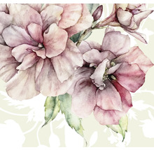 Illustration mit rosa Blüten