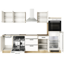 Küchenzeile mit Spüle, Geschirrspüler, Herd, Dunstabzugshaube, Backofen und Kühlschrank