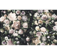 Blumentapete mit Rosen und Pfingstrosen auf dunklem Hintergrund