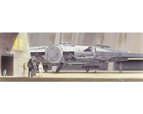 Fototapete Papier 4-4112 Disney Edition 4 Star Wars RMQ Millenium Falcon 4-tlg. 368 x 127 cm Szene mit Raumschiff und Figuren