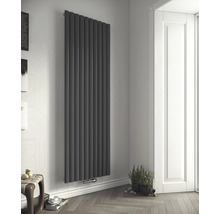 Raumansicht mit einem hohen, schmalen, grauen Heizkörper an der Wand.