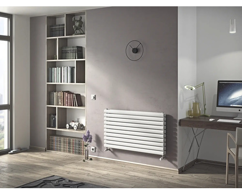 Wohnraum mit Heizkörper, Regal und Schreibtisch