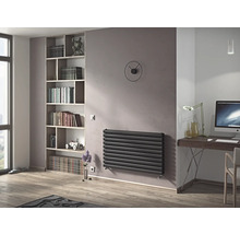 Wohnraum mit Heizkörper, Bücherregal, Schreibtisch und Dekoration