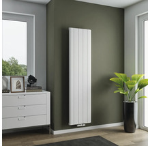 Raumansicht mit vertikalem Heizkörper an einer Wand, Kommode und Zimmerpflanze