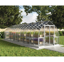 Gewächshaus mit Pflanzen auf Regalen im Garten.