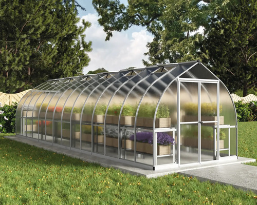 Gewächshaus mit Pflanzen auf Regalen im Garten.