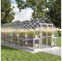 Gewächshaus mit Regalen im Garten