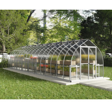 Gewächshaus mit Pflanzen auf Tischen im Garten