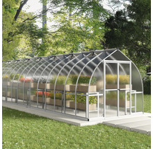 Gewächshaus mit Pflanzenregalen im Garten