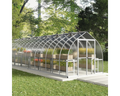 Gewächshaus mit Pflanzenregalen im Garten