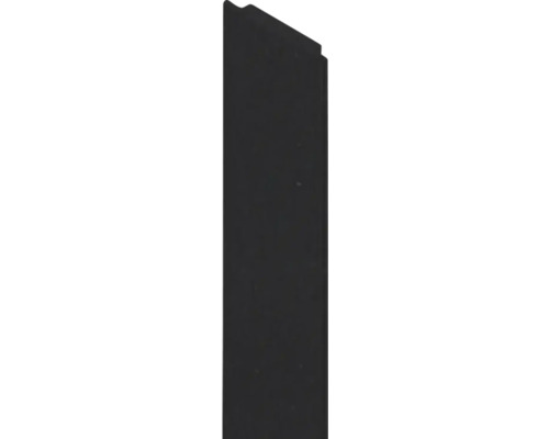Nut-Abdeckleiste für Pfosten Osmo 220 x 0,4 x 2,7 cm anthrazit Schiebetürblatt für Innentüren