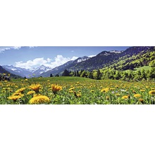 Landschaft mit Wiese, Löwenzahn und Bergen