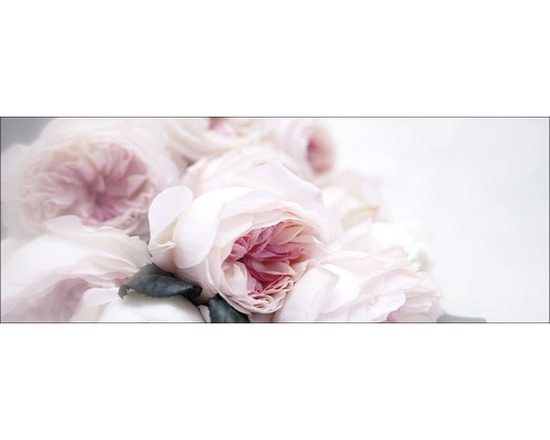 Glasbild Pink roses 30x80 cm