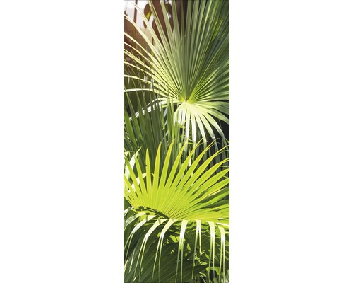 Glasbild Palm leaves 30x80 cm