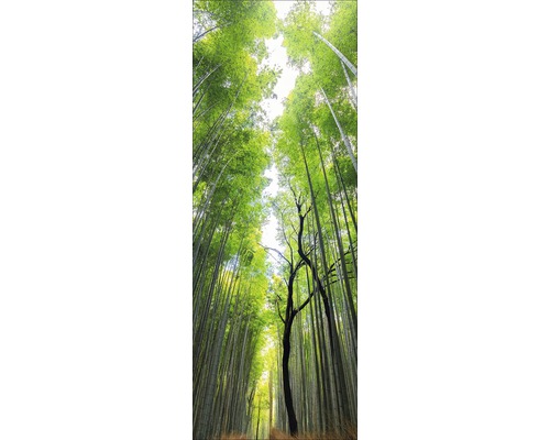 Glasbild Treetops 30x80 cm