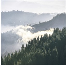 Landschaft mit Kiefernwald und Nebel