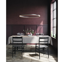 Esstisch mit Gedeck unter ringförmiger Hängeleuchte in einem Esszimmer