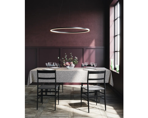 Esstisch mit Gedeck unter ringförmiger Hängeleuchte in einem Esszimmer