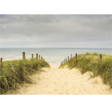 Ein Sandweg führt zum Meer, gesäumt von Dünen und Holzpfosten mit Drahtseilen.