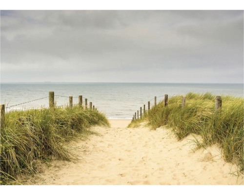Ein Sandweg führt zum Meer, gesäumt von Dünen und Holzpfosten mit Drahtseilen.