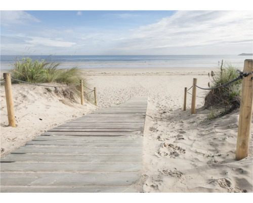 Holzsteg führt zum Strand mit Sanddünen und Meer