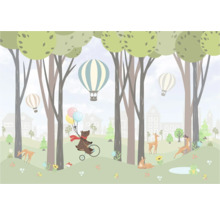 Illustration einer Waldszene mit Bär auf Fahrrad, Heißluftballons und Rehen