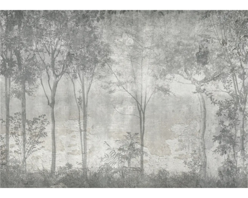 Dekorative Fototapete mit Waldmotiv für die Wandgestaltung