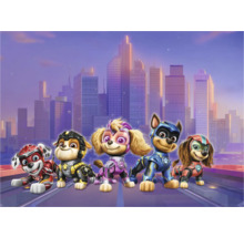 Illustration der Paw Patrol vor einer Stadtkulisse.