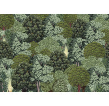 Tapete mit Waldmotiv für Wandgestaltung
