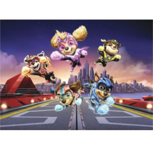 Paw Patrol Superhelden auf einer Startbahn vor einer Stadtkulisse