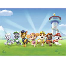 Paw Patrol Team mit Aussichtsturm im Hintergrund