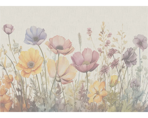 Blumenwiese Illustration