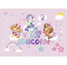Paw Patrol Hintergrund mit Einhorn-Motiv