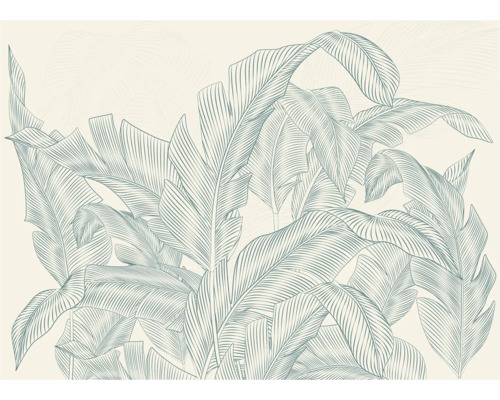 Illustration von Bananenblattmotiv für Wandgestaltung