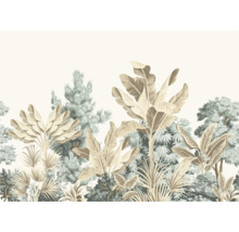 Illustration von tropischen Pflanzen