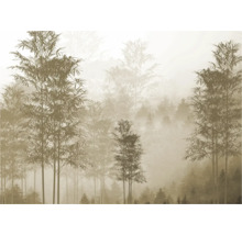 Tapete mit Waldmotiv im Nebel