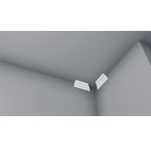 Zwei Eckprofile an einer Zimmerdecke