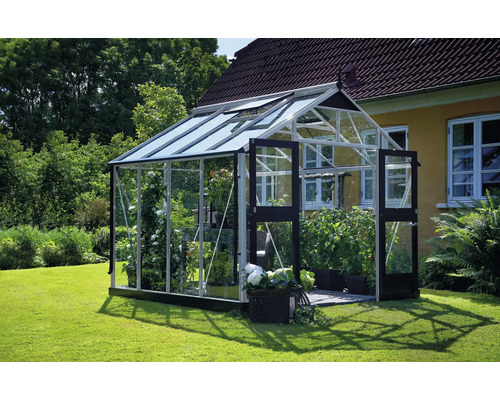 Gewächshaus JULIANA Premium 8,8 m² 3 mm Sicherheitsglas 296 x 296 cm Aluminium Gewächshaus mit Pflanzen im Garten