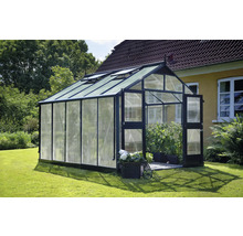 Gewächshaus mit geöffneter Tür im Garten