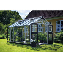 Gewächshaus mit Pflanzen im Garten