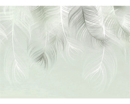 Tapete mit Federdesign für die Wandgestaltung